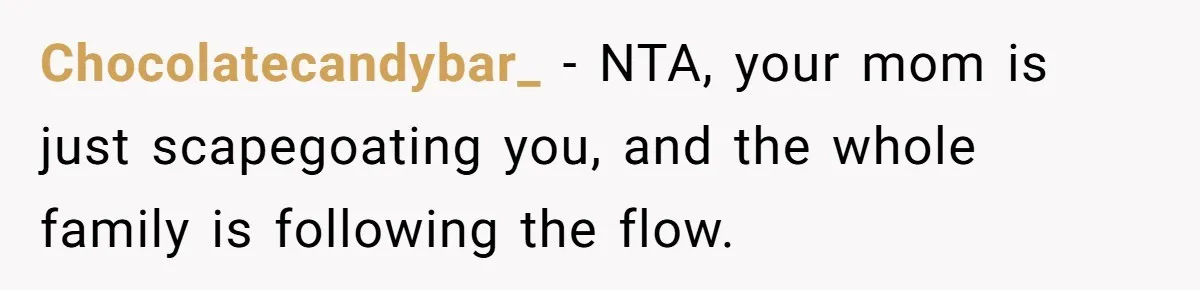 Chocolatecandybar_ − NTA, your mom is just scapegoating you, and the whole family is following the flow.