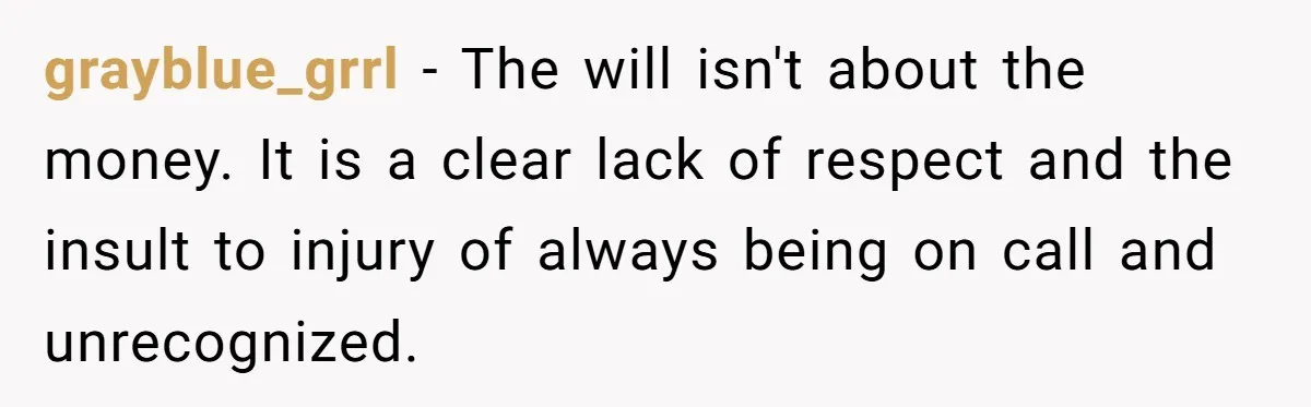 grayblue_grrl − The will isn't about the money. It is a clear lack of respect and the insult to injury of always being on call and unrecognized.