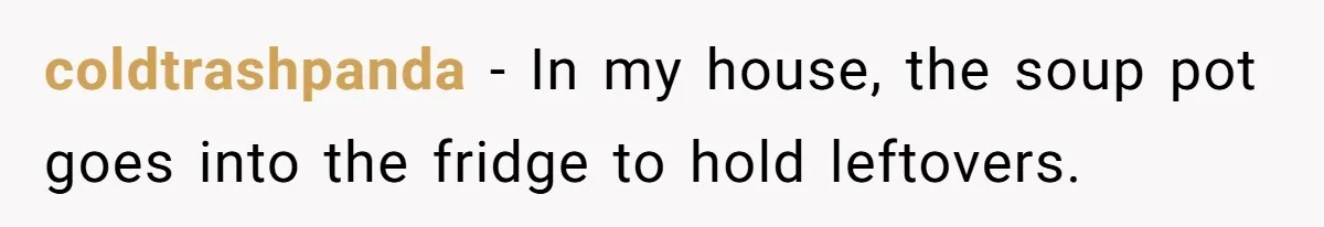 coldtrashpanda − In my house, the soup pot goes into the fridge to hold leftovers.