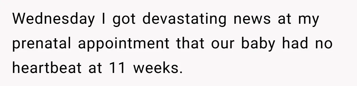 Wednesday I got devastating news at my prenatal appointment that our baby had no heartbeat at 11 weeks.