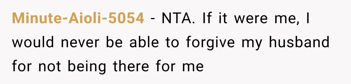 Minute-Aioli-5054 − NTA. If it were me, I would never be able to forgive my husband for not being there for me