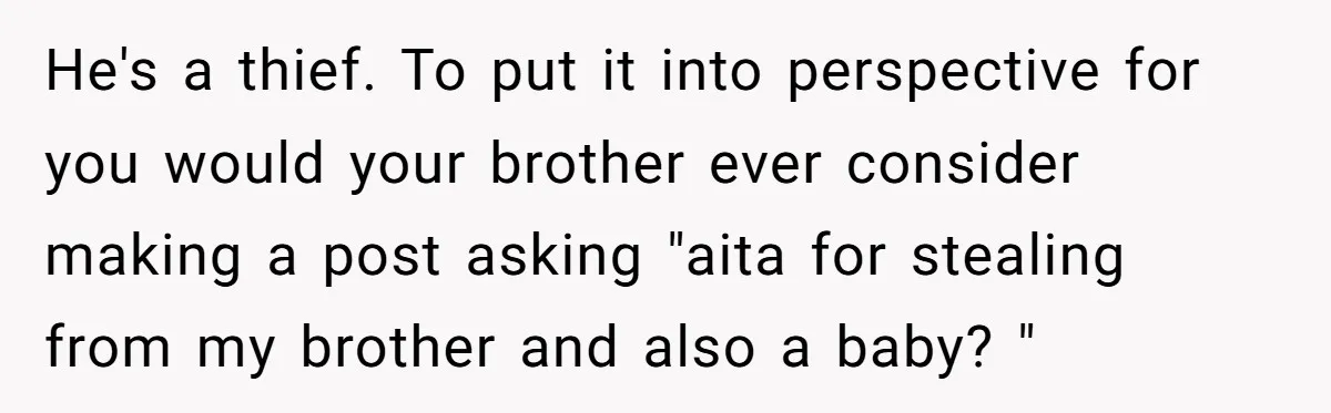 He's a thief. To put it into perspective for you would your brother ever consider making a post asking "aita for stealing from my brother and also a baby? "