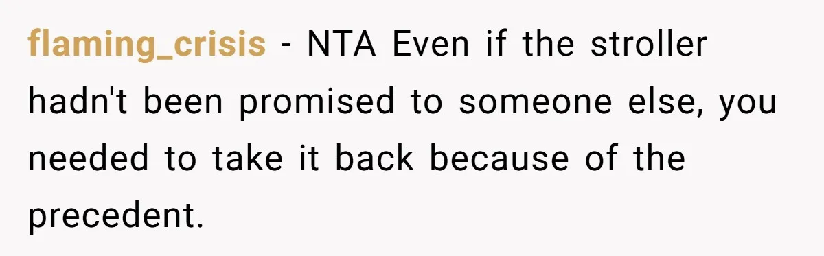 flaming_crisis − NTA Even if the stroller hadn't been promised to someone else, you needed to take it back because of the precedent.