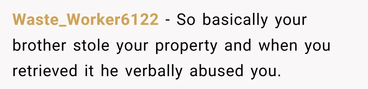 Waste_Worker6122 − So basically your brother stole your property and when you retrieved it he verbally abused you.