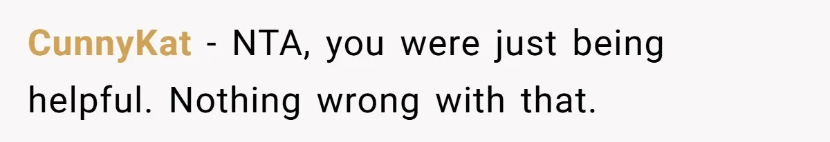 CunnyKat − NTA, you were just being helpful. Nothing wrong with that.