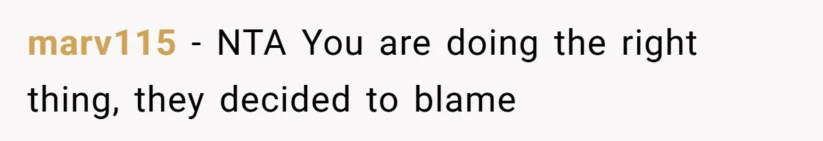 marv115 − NTA You are doing the right thing, they decided to blame