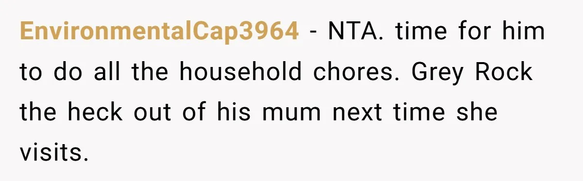 EnvironmentalCap3964 - NTA. time for him to do all the household chores. Grey Rock the heck out of his mum next time she visits.