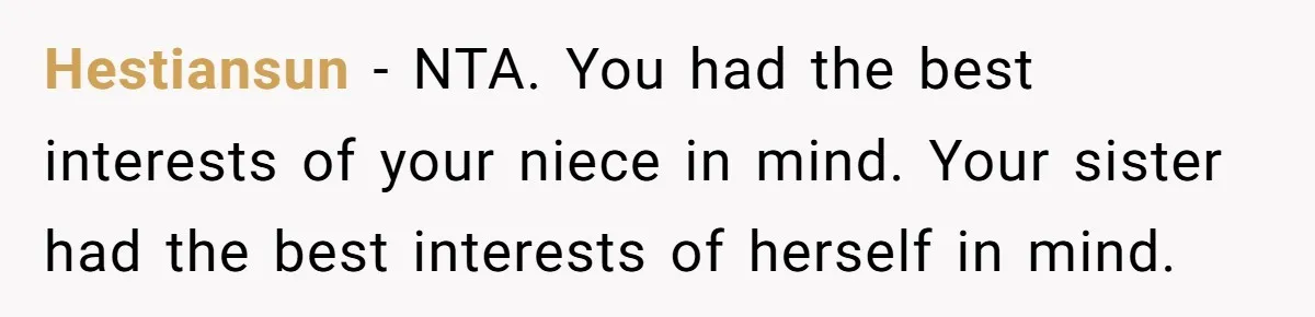 Hestiansun − NTA. You had the best interests of your niece in mind. Your sister had the best interests of herself in mind.