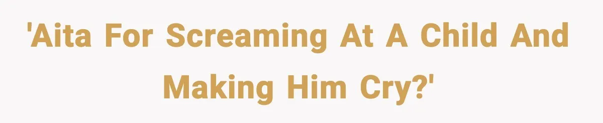 'AITA for screaming at a child and making him cry?'