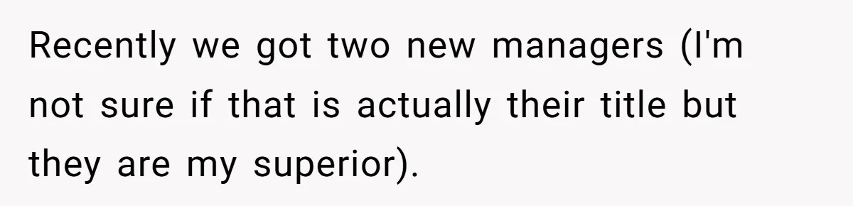 Recently we got two new managers (I'm not sure if that is actually their title but they are my superior).