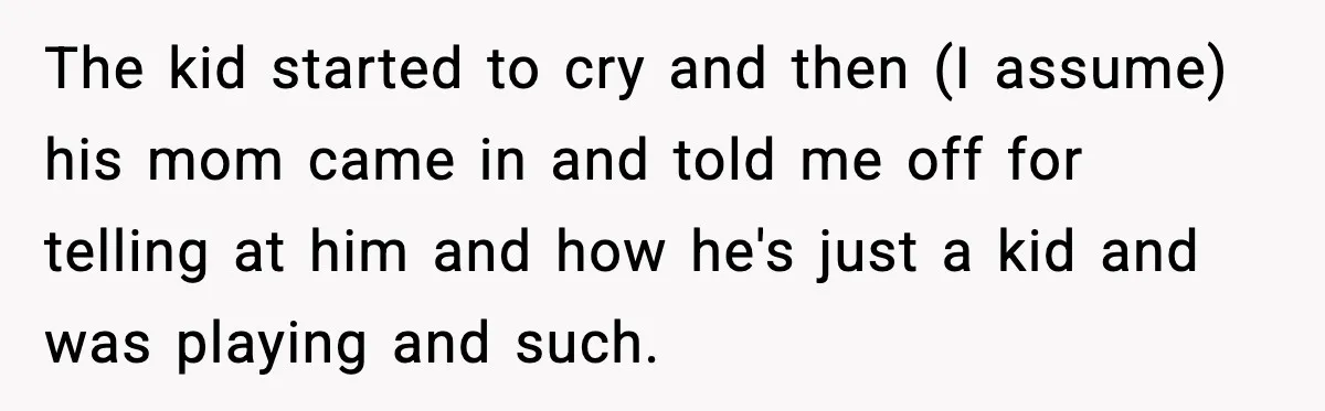 The kid started to cry and then (I assume) his mom came in and told me off for telling at him and how he's just a kid and was playing...