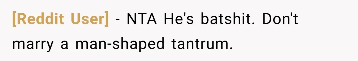 [Reddit User] − NTA He's batshit. Don't marry a man-shaped tantrum.
