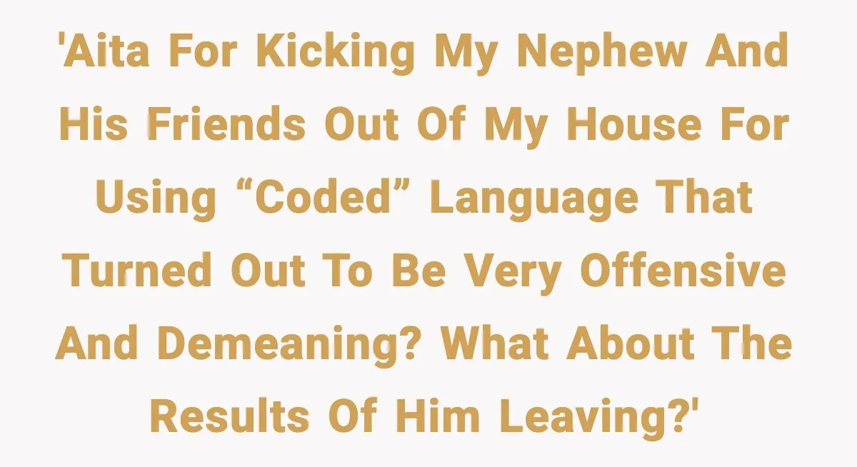 'AITA for kicking my nephew and his friends out of my house for using “coded” language that turned out to be very offensive and demeaning? What about the results of...