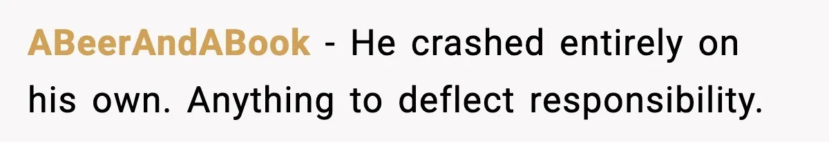 ABeerAndABook - He crashed entirely on his own. Anything to deflect responsibility.