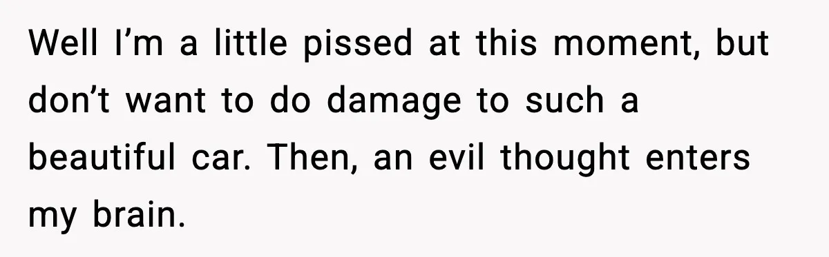 Well I’m a little pissed at this moment, but don’t want to do damage to such a beautiful car. Then, an evil thought enters my brain.
