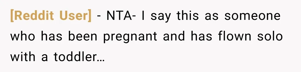 [Reddit User] − NTA- I say this as someone who has been pregnant and has flown solo with a toddler…