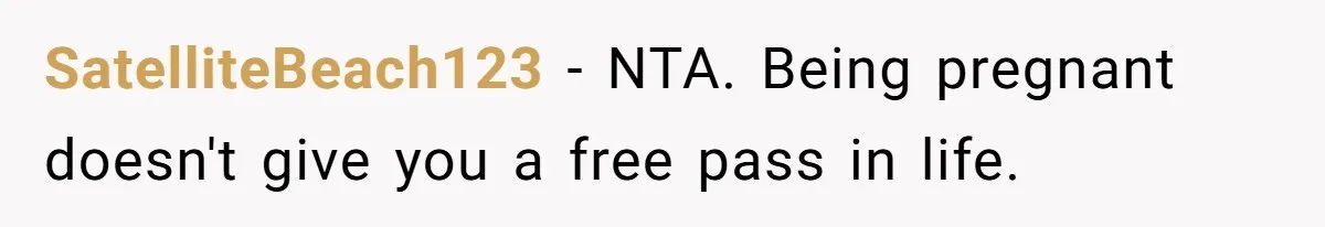 SatelliteBeach123 − NTA. Being pregnant doesn't give you a free pass in life.