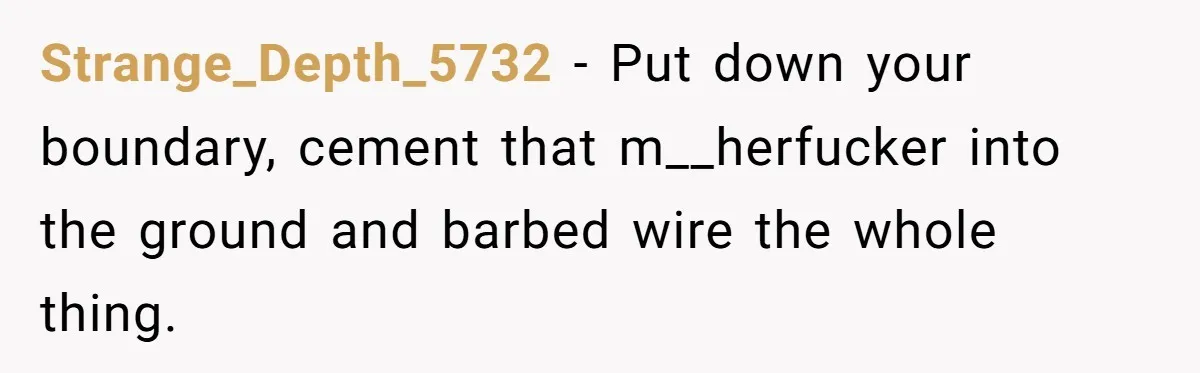 Strange_Depth_5732 − Put down your boundary, cement that m__herfucker into the ground and barbed wire the whole thing.