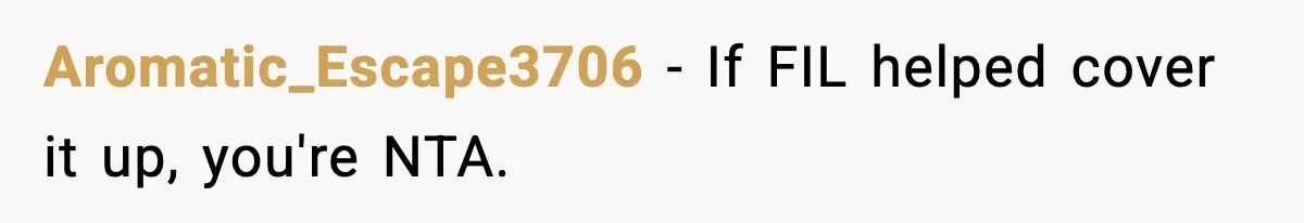 Aromatic_Escape3706 - If FIL helped cover it up, you're NTA.