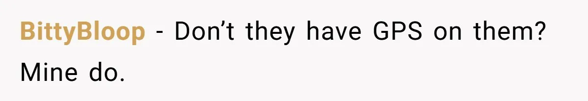 BittyBloop − Don’t they have GPS on them? Mine do.