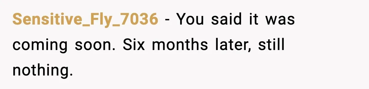 Sensitive_Fly_7036 - You said it was coming soon. Six months later, still nothing.