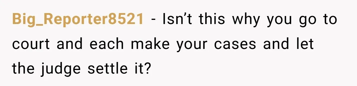 Big_Reporter8521 − Isn’t this why you go to court and each make your cases and let the judge settle it?