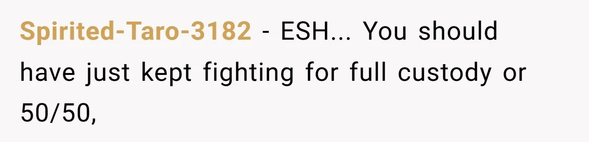 Spirited-Taro-3182 − ESH... You should have just kept fighting for full custody or 50/50,