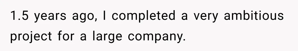 1.5 years ago, I completed a very ambitious project for a large company.
