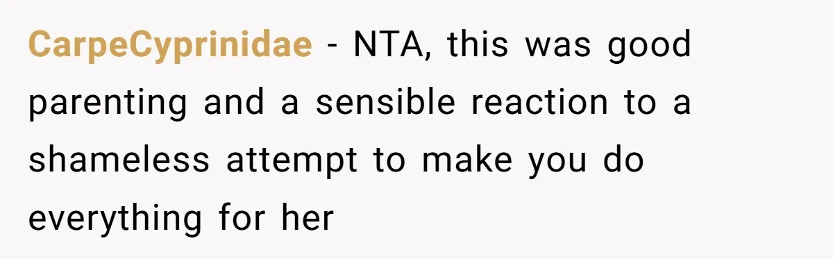 Mother Kicks Pregnant Teen Daughter Out After She Refuses To Follow Household Rules CarpeCyprinidae − NTA, this was good parenting and a sensible reaction to a shameless attempt to make you do everything for her