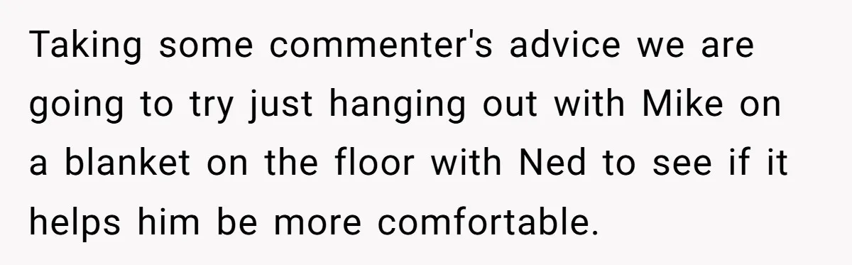 Taking some commenter's advice we are going to try just hanging out with Mike on a blanket on the floor with Ned to see if it helps him be more...