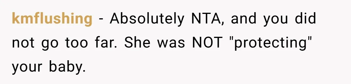 kmflushing − Absolutely NTA, and you did not go too far. She was NOT "protecting" your baby.