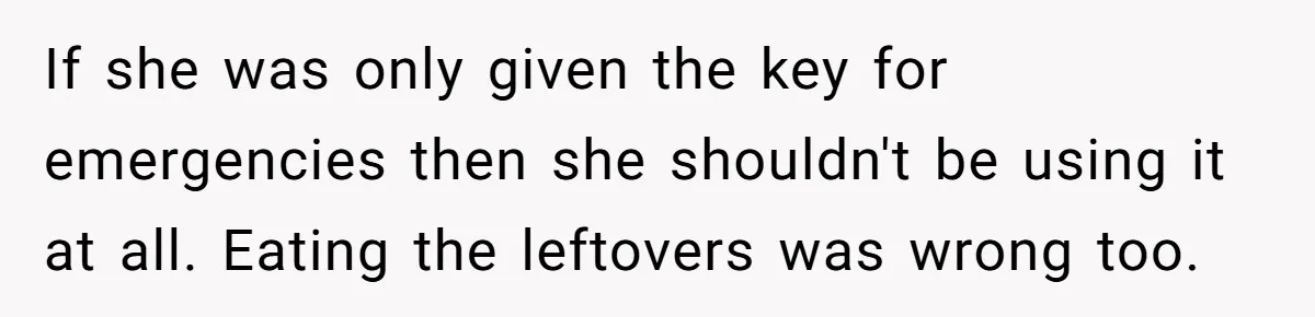 If she was only given the key for emergencies then she shouldn't be using it at all. Eating the leftovers was wrong too.