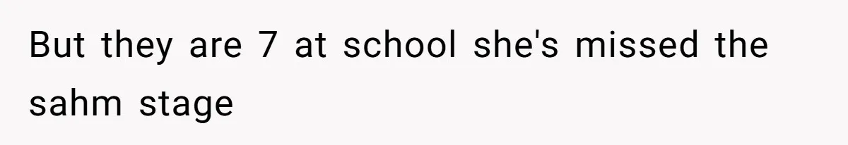 Man Refuses To Bankroll Girlfriend’s Dream Of Being A Stay-At-Home Mom, Her Mom Calls Him ‘Selfish’ But they are 7 at school she's missed the sahm stage