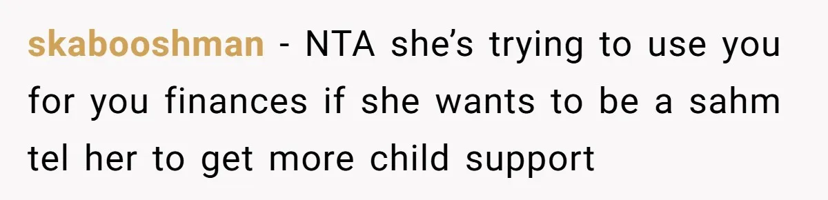 Man Refuses To Bankroll Girlfriend’s Dream Of Being A Stay-At-Home Mom, Her Mom Calls Him ‘Selfish’ skabooshman − NTA she’s trying to use you for you finances if she wants to be a sahm tel her to get more child support