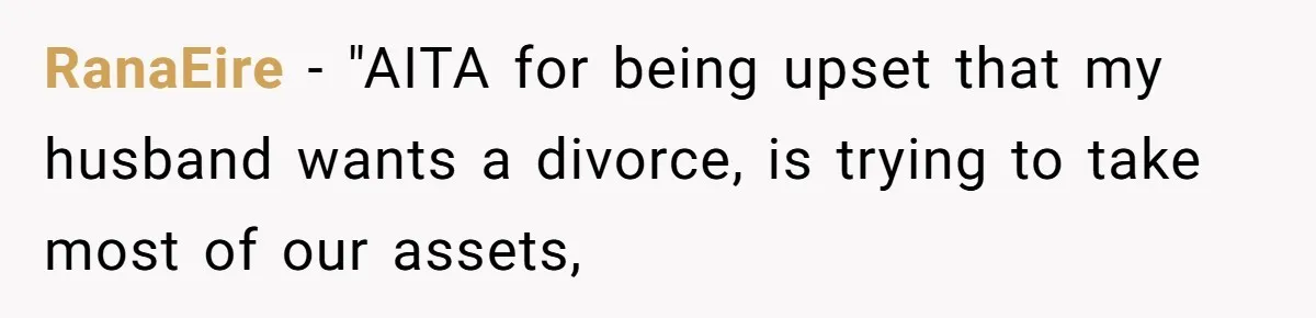 Husband Comes Out After 8 Years, Then Demands Divorce And Full Custody RanaEire − "AITA for being upset that my husband wants a divorce, is trying to take most of our assets,