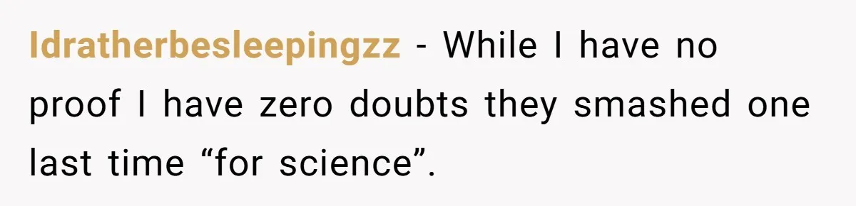 Idratherbesleepingzz − While I have no proof I have zero doubts they smashed one last time “for science”.