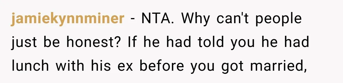 jamiekynnminer − NTA. Why can't people just be honest? If he had told you he had lunch with his ex before you got married,