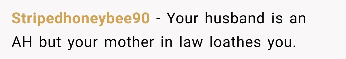 Stripedhoneybee90 − Your husband is an AH but your mother in law loathes you.
