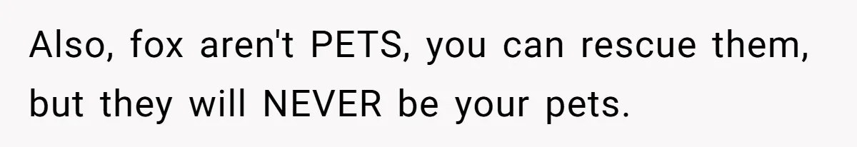 Also, fox aren't PETS, you can rescue them, but they will NEVER be your pets.