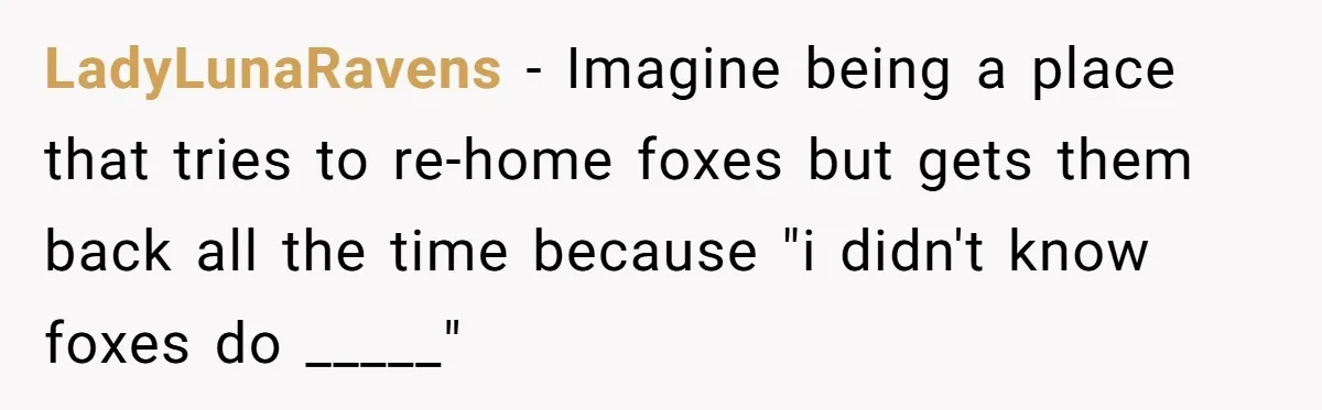 LadyLunaRavens − Imagine being a place that tries to re-home foxes but gets them back all the time because "i didn't know foxes do _____"