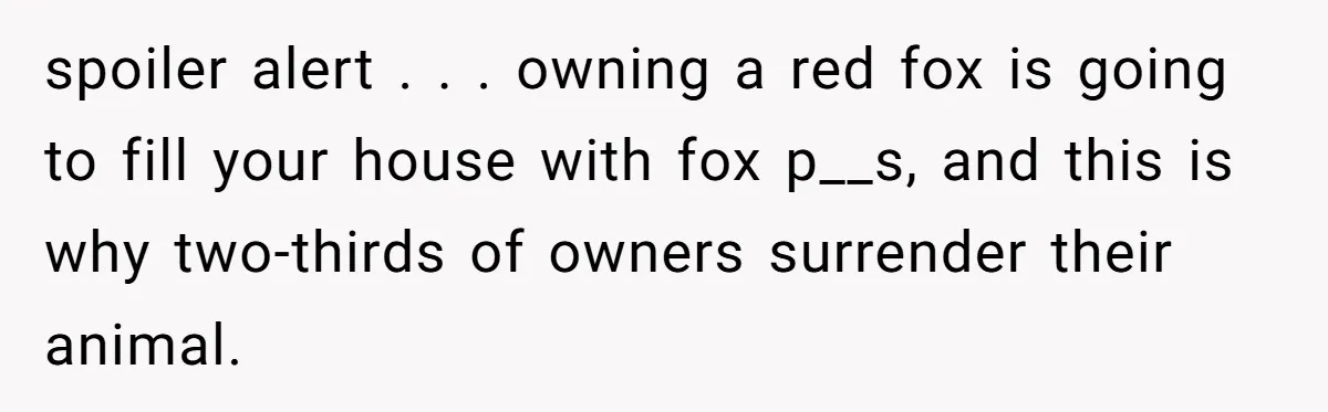 spoiler alert . . . owning a red fox is going to fill your house with fox p__s, and this is why two-thirds of owners surrender their animal.