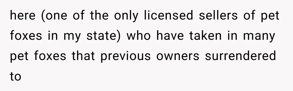 here (one of the only licensed sellers of pet foxes in my state) who have taken in many pet foxes that previous owners surrendered to