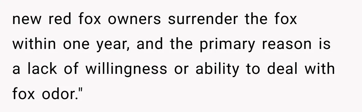 new red fox owners surrender the fox within one year, and the primary reason is a lack of willingness or ability to deal with fox odor."