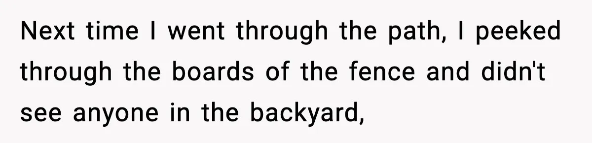 Next time I went through the path, I peeked through the boards of the fence and didn't see anyone in the backyard,