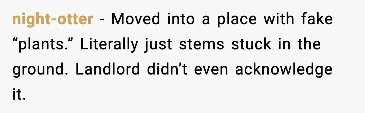 Tenant Removes Garden Before Leaving, Landlord’s Plan Backfires Instantly night-otter - Moved into a place with fake “plants.” Literally just stems stuck in the ground. Landlord didn’t even acknowledge it.