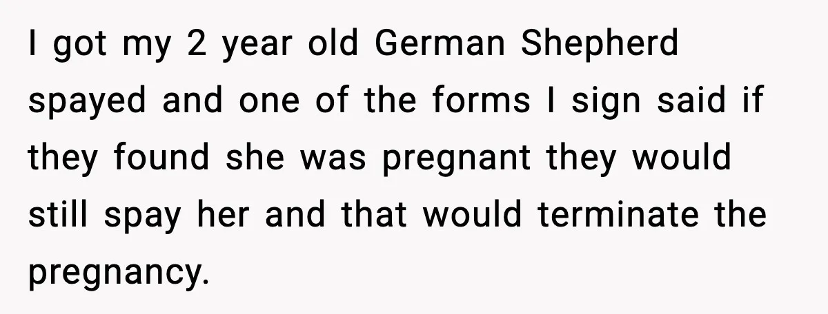 “He Did WHAT to My Dog?” Secret Breeding Sparks Breakup Decision I got my 2 year old German Shepherd spayed and one of the forms I sign said if they found she was pregnant they would still spay her and that...