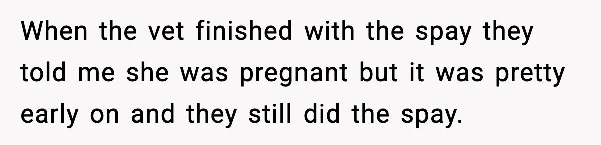 “He Did WHAT to My Dog?” Secret Breeding Sparks Breakup Decision When the vet finished with the spay they told me she was pregnant but it was pretty early on and they still did the spay.