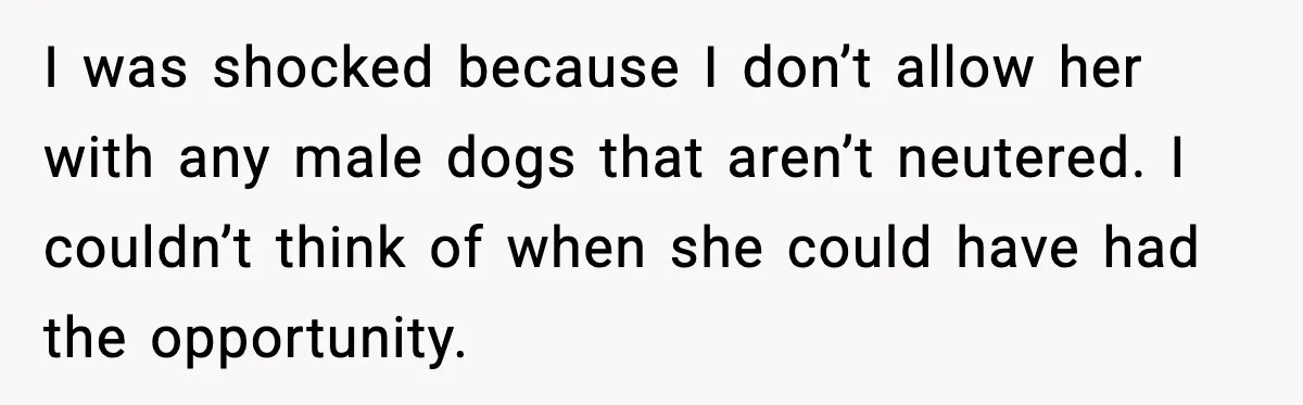 “He Did WHAT to My Dog?” Secret Breeding Sparks Breakup Decision I was shocked because I don’t allow her with any male dogs that aren’t neutered. I couldn’t think of when she could have had the opportunity.