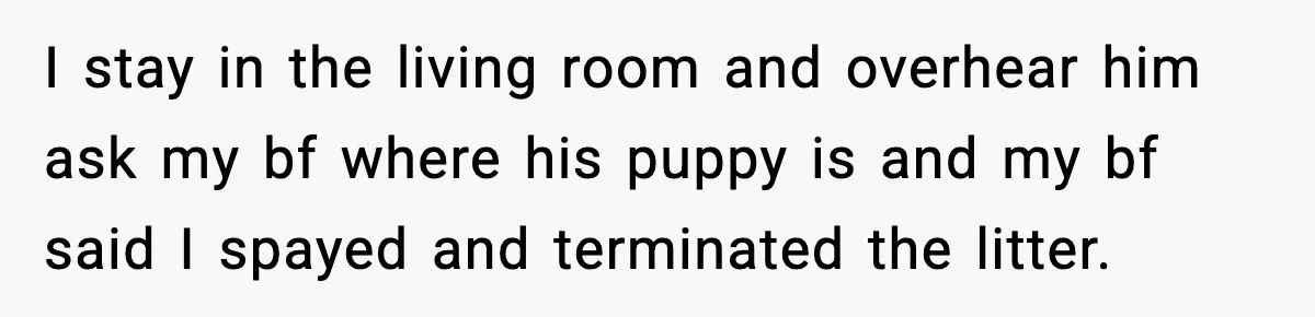 “He Did WHAT to My Dog?” Secret Breeding Sparks Breakup Decision I stay in the living room and overhear him ask my bf where his puppy is and my bf said I spayed and terminated the litter.