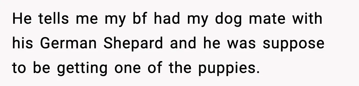 “He Did WHAT to My Dog?” Secret Breeding Sparks Breakup Decision He tells me my bf had my dog mate with his German Shepard and he was suppose to be getting one of the puppies.